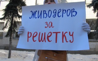 Киевлян шокировал маньяк, который убивает кошек