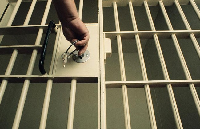 Сколько осужденных попали под Закон «Об амнистии»