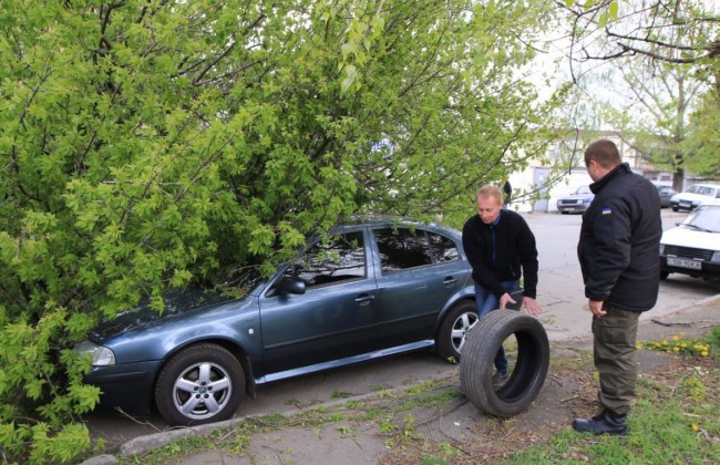 Судебная практика: ВХСУ разъяснил, кто должен платить за разбитые деревьями машины