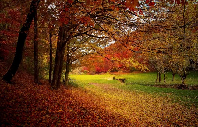 Когда "бабье лето" порадует киевлян