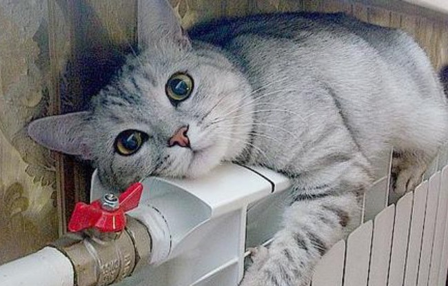 Коли в дитсадках і школах включать опалення