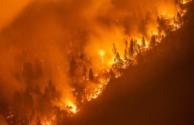 Крупный пожар в США: названо новое число жертв