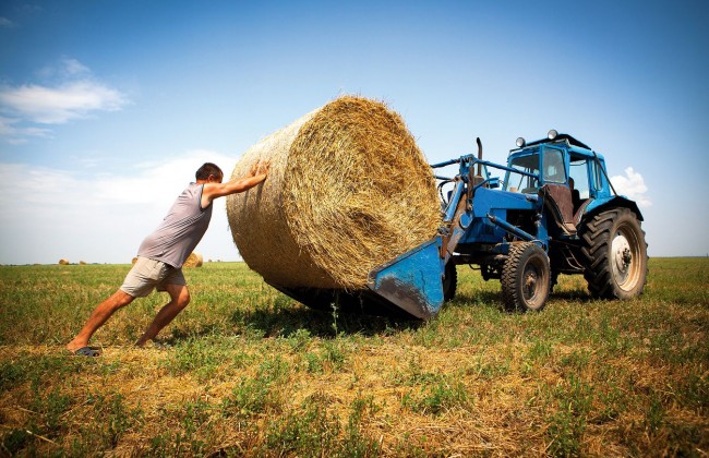 Украинцы вскоре получат новый праздник