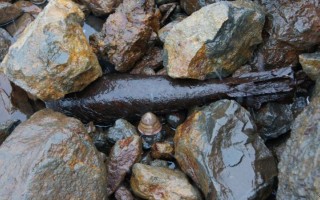 Жуткая находка в Киевском море поразила украинцев