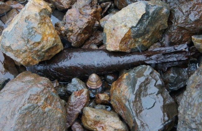 Жуткая находка в Киевском море поразила украинцев