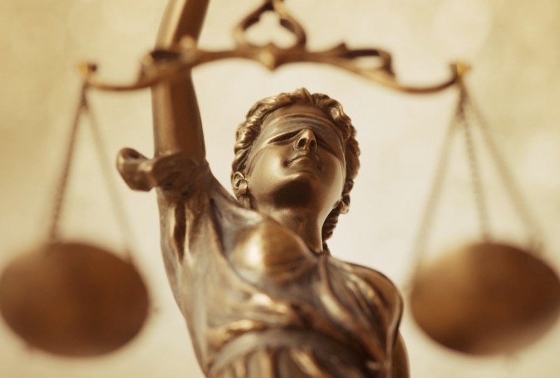 Юрист — больше не профессия: соцсети возмутились законопроектом о юробразовании