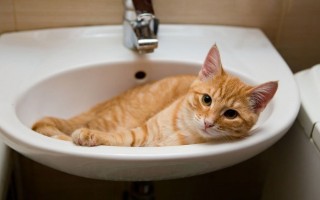 В столице на выходные отключат воду