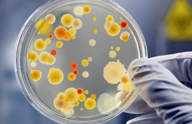 Количество острых инфекционных заболеваний выросло более чем в три раза