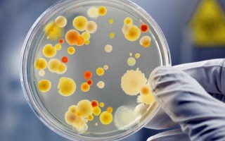 Количество острых инфекционных заболеваний выросло более чем в три раза