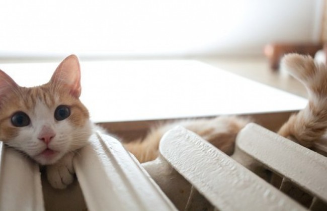 Киевлянам сделали важное сообщение о зимних платежках