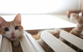 Киевлянам сделали важное сообщение о зимних платежках