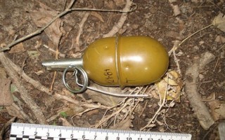 В Киеве злоумышленники избавились от гранаты, выбросив ее на улицу