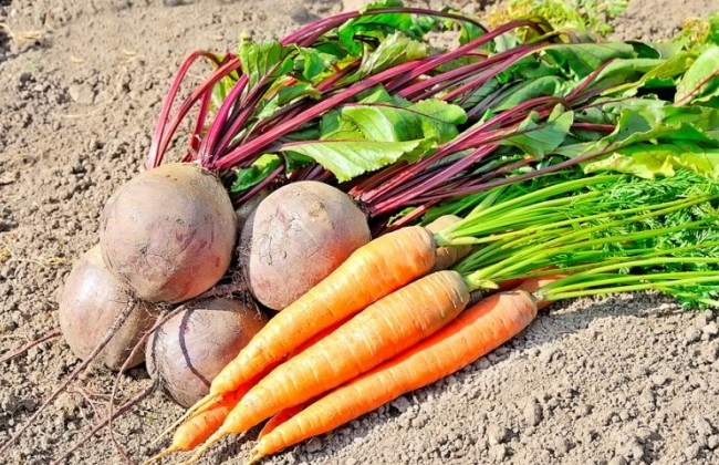 Эти два продукта уже подорожали в Украине в два раза