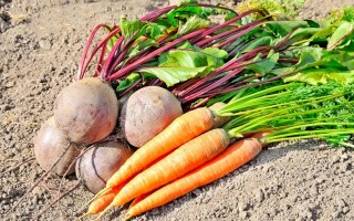 Эти два продукта уже подорожали в Украине в два раза