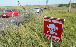 Эксперты рассказали, сколько лет понадобится на разминирование Донбасса