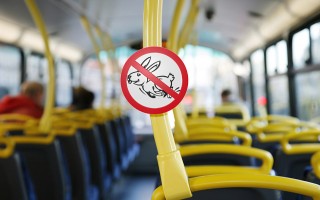 Для киевлян вырастут штрафы за проезд «зайцем»