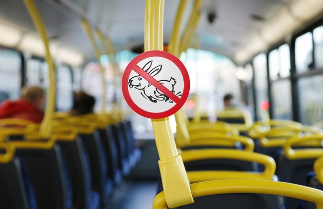 Для киевлян вырастут штрафы за проезд «зайцем»