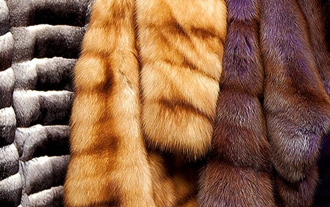 Гражданин Греции пытался ввезти в Украину норковые шубы