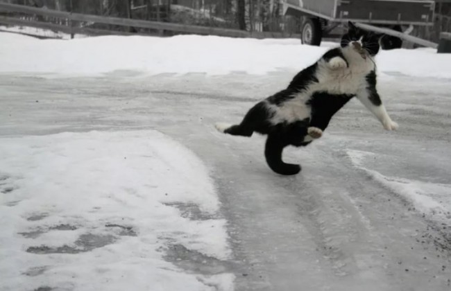 Поломанные кости и мегазаторы: первые дни гололеда принесли украинцам много непприятностей.