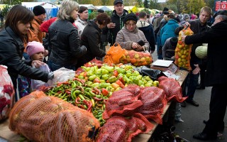 Большую распродажу продуктов устроят киевлянам
