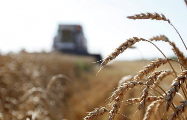 Кабмин поддержал инициативу Минюста в борьбе с рейдерством