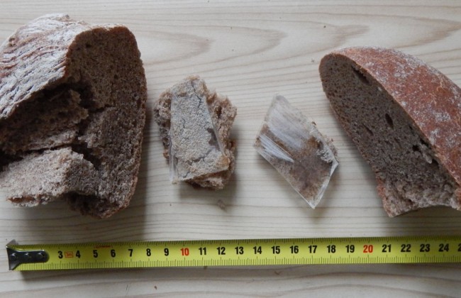 Киевляне возмущены: в известном супермаркете продавли хлеб с червяками (фото)