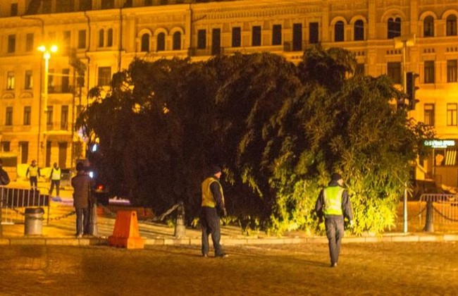 Главная елка страны обошлась в круглую сумму