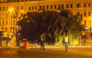 Главная елка страны обошлась в круглую сумму