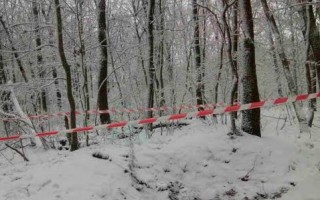 Под Львовом обнаружили ужасную находку (фото)