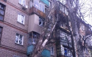 В Запорожье огромный тополь упал на жилой дом (фото)