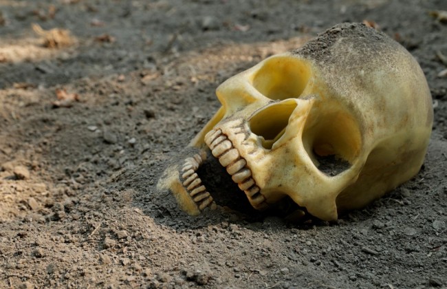 В Волынской области обнаружили человеческие останки