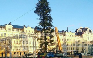Украинцы возмущены главной елкой страны