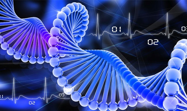 Права полиции собирать образцы ДНК проверят на законность