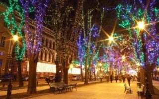 Синоптики дали прогноз на предновогоднюю неделю