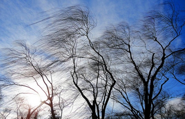 Бабушку, которая вышла покурить на балкон, снесло ветром