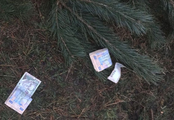 Новогодняя елочка: на Волыни задержали хитрого лесничего