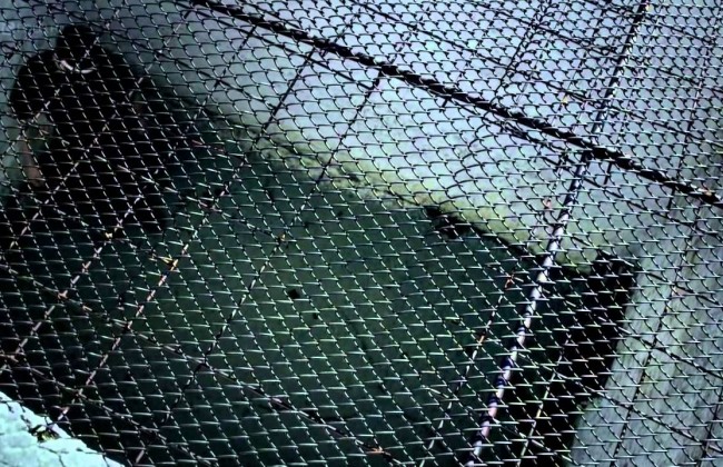 В Таиланде мужчину засудили к 13 тысячам лет тюрьмы