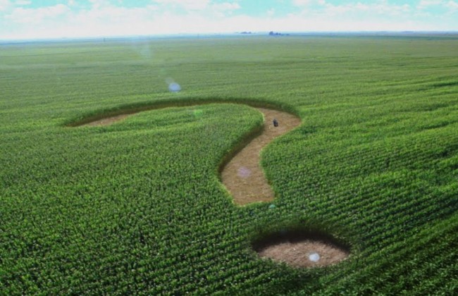 Чиновничью аферу на 188 миллионов разоблачили в Киевской области