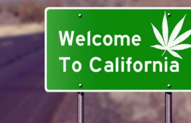 В Калифорнии легализовали наркотики