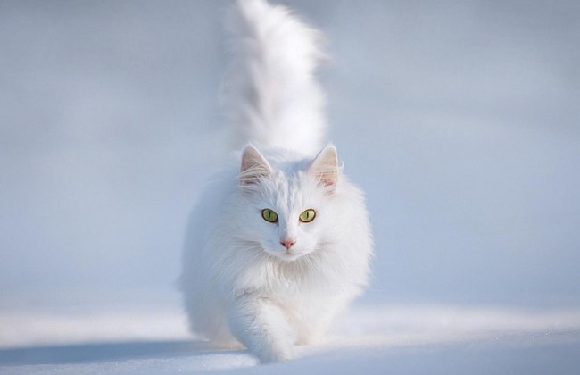 Когда в Украине наступит зима: синоптики дали новый прогноз