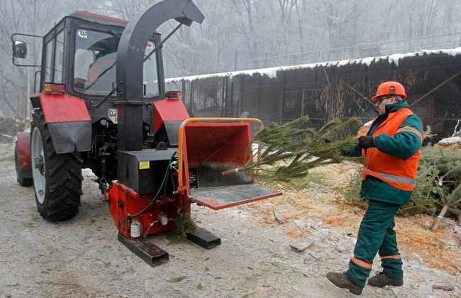 Стало известно, где в Киеве принимают новогодние елки на переработку (карта)