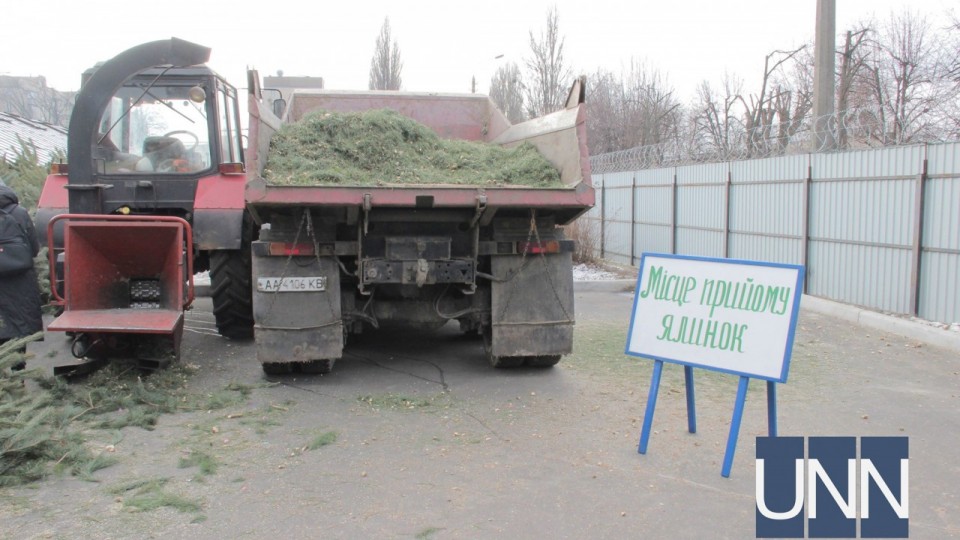 Стало известно, как избавиться от елки и помочь городу