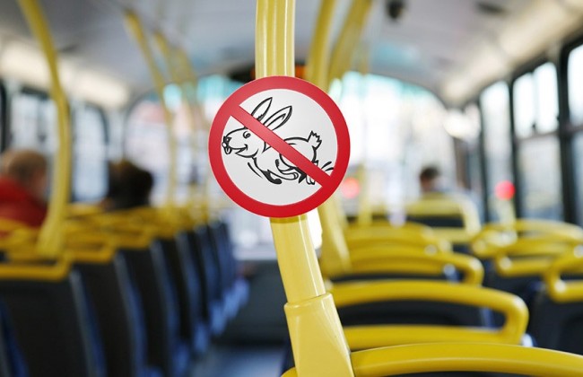 В «Киевпастрансе» отчитались, сколько заплатили «безбилетники» за год