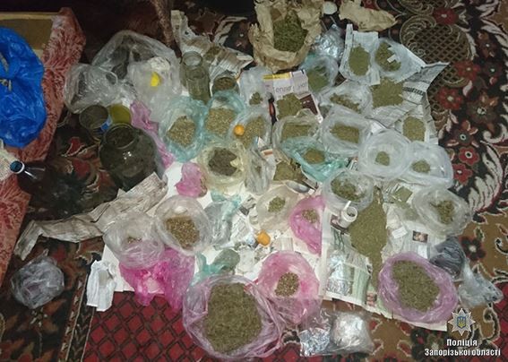 У жителя Запорожья изъяли наркотиков на 800 тысяч гривен