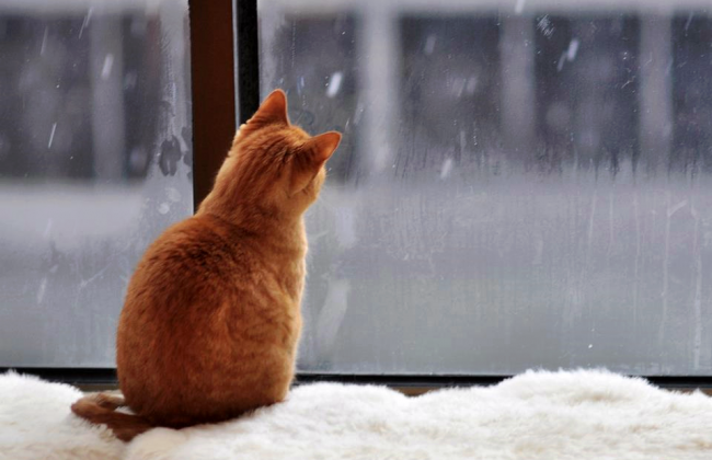 Украинцев предупредили о резких изменениях погодных условий