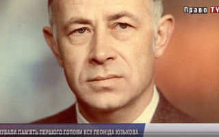 Быть ли в Украине верховенству права (видео)