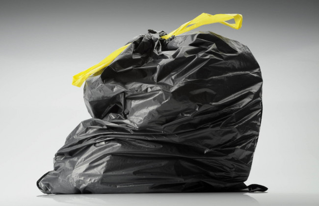 Тараканы, клопы и опарыши: киевляне страдают из-за свалки в квартире