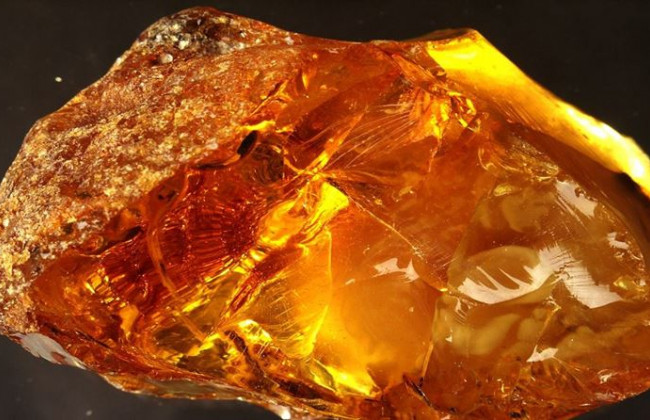 Ад в Ровенской области: на копов напали более 200 копателей янтаря