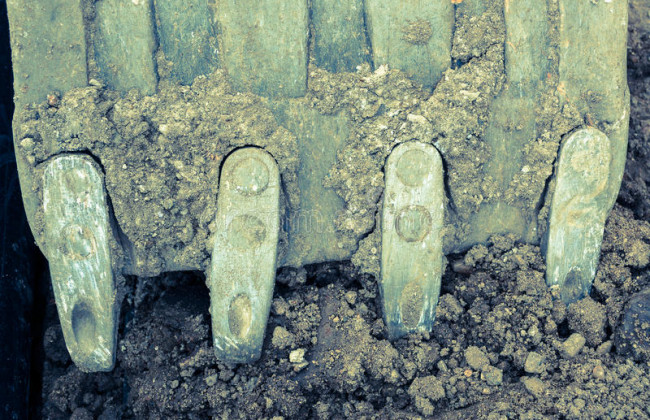 Тысячи умерших от неизвестной болезни: украинцев поразил секретный скотомогильник