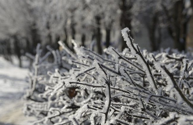 Синоптики объявили штормовое предупреждение в Украине